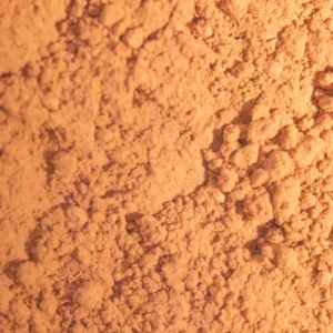 Poudre de finition cannelle